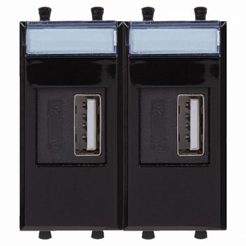 USB зарядное устройство модульное Черный квадрат 2 модуля DKC Avanti 4402542 фото